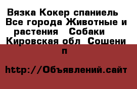 Вязка Кокер спаниель - Все города Животные и растения » Собаки   . Кировская обл.,Сошени п.